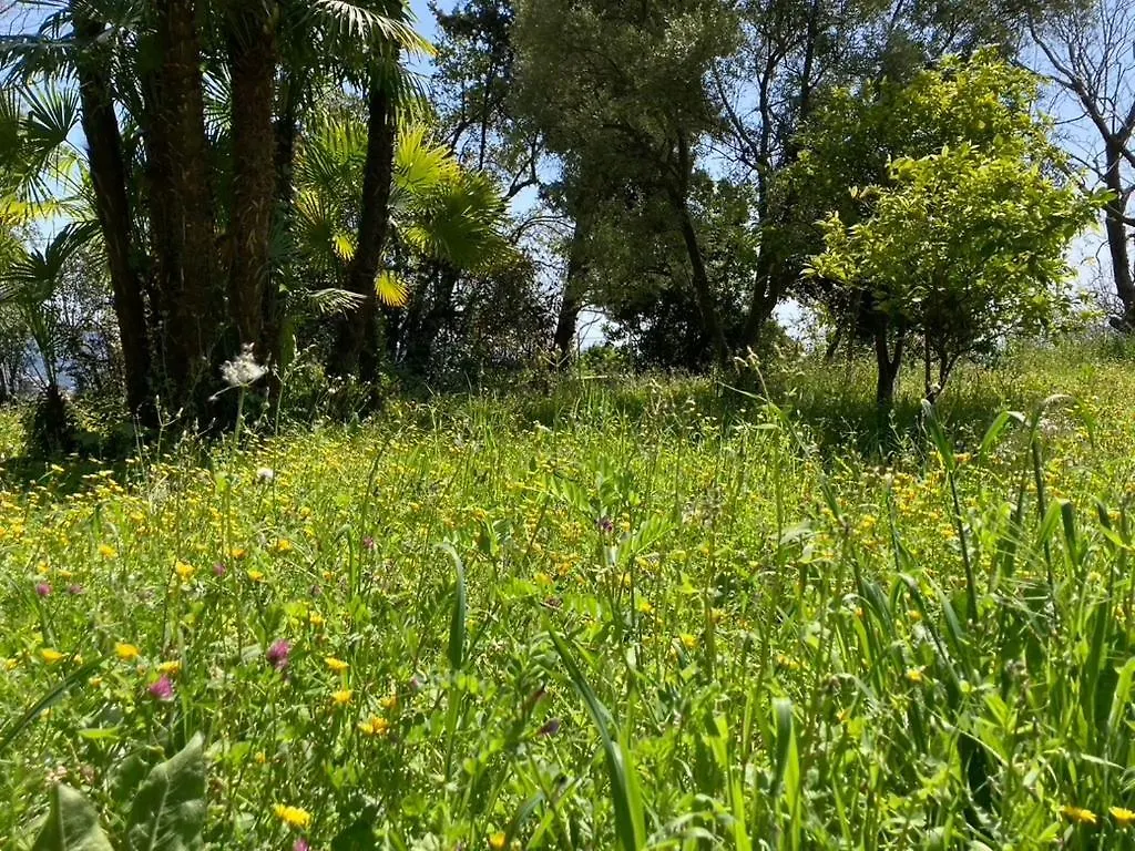 Holiday home Maison De Charme Dans Les Collines Nicoises Nice