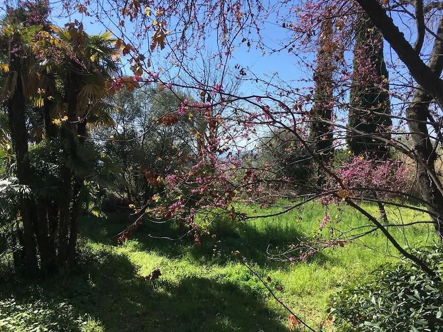 Maison De Charme Dans Les Collines Nicoises Nice